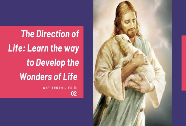 The Direction of Life Learn the way to Develop the Wonders of Life