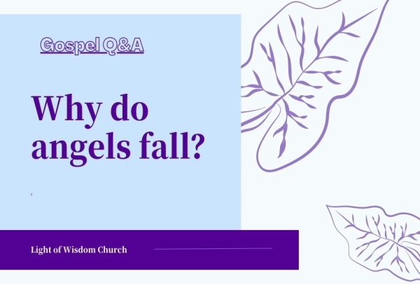 Why do angels fall？